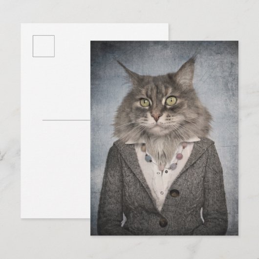 服を着た猫 ポストカード (正面/裏面)