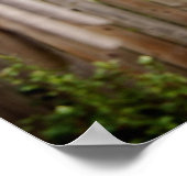 服飾ライン[アートプリント] ポスター (角)