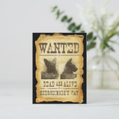 望まれた死者および生きた。 Schroedingerの猫 ポストカード (スタンド正面)