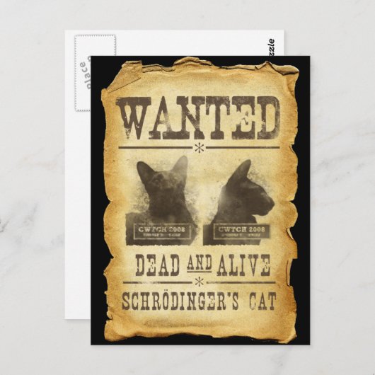 望まれた死者および生きた。  Schroedingerの猫 ポストカード (正面/裏面)