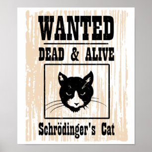 望まれたSchrodingerの猫 ポスター