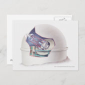 望遠鏡の天文台内断面 ポストカード (正面/裏面)