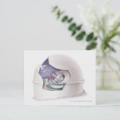 望遠鏡の天文台内断面 ポストカード (スタンド正面)