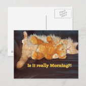 朝か。か。 郵便はがき ポストカード (正面/裏面)