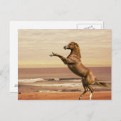 朝に向かって敬礼する ポストカード (正面/裏面)