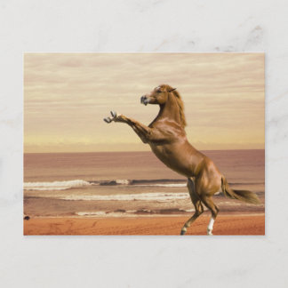 朝に向かって敬礼する ポストカード