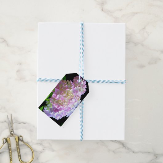 朝のウィスパー – Hydrangeas ギフトタグ (より糸付き)