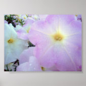 朝のキス ポスター (正面)