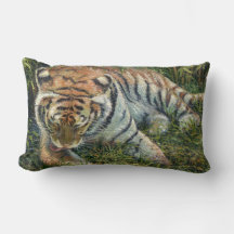 朝のグルーミング