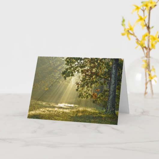 朝のサンビームを持つオークの木の自然写真 カード (黄色い花)