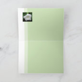 朝のダトゥラ カード (内部)