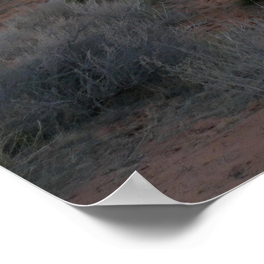 朝のトンネルアーチ ポスター (角)