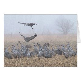 朝のネブラスカの霧深い着陸