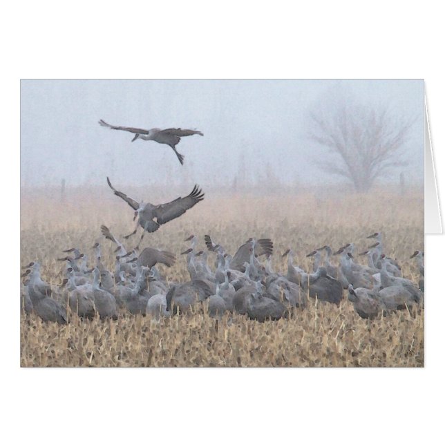 朝のネブラスカの霧深い着陸 (正面横)