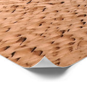 朝のビーチショアのヤシの木 ポスター (角)