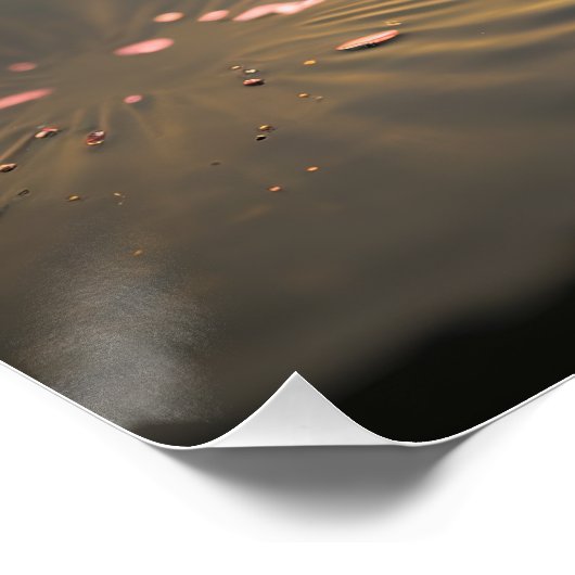 朝のピンクの蓮の光の光沢ポスター ポスター (コーナー)