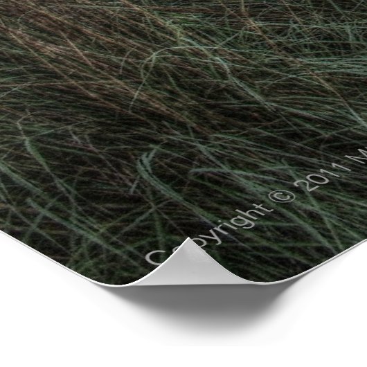 朝のプリント ポスター (角)