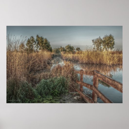 朝のプリント ポスター (正面)