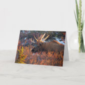 朝のムース カード (正面)