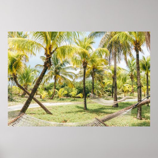 朝のヤシの木 ポスター (正面)