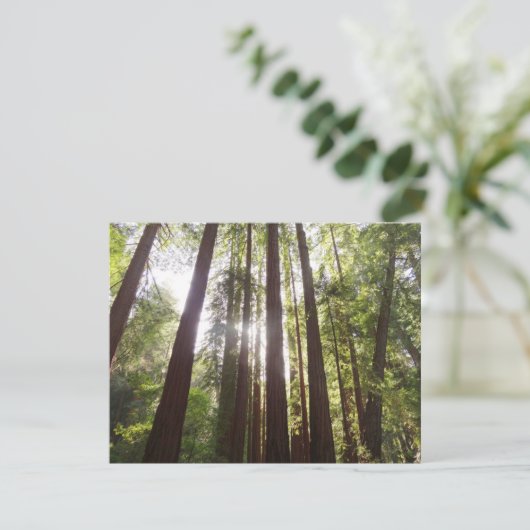 朝のレッドウッズまで (スタンド正面)