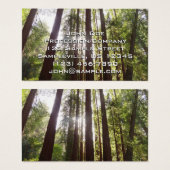 朝のレッドウッズまで (正面&裏面)