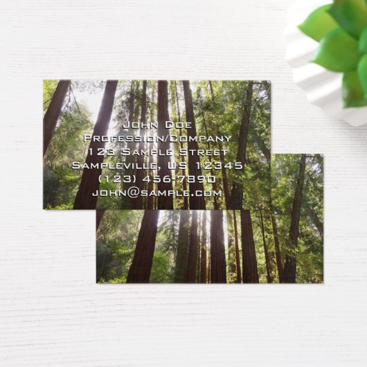 朝のレッドウッズまで (デスク)