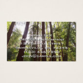 朝のレッドウッズまで (正面)