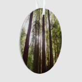 朝のレッドウッズまで オーナメント (正面)