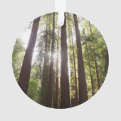 朝のレッドウッズまで オーナメント (裏面)