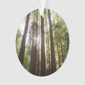 朝のレッドウッズまで オーナメント (正面)