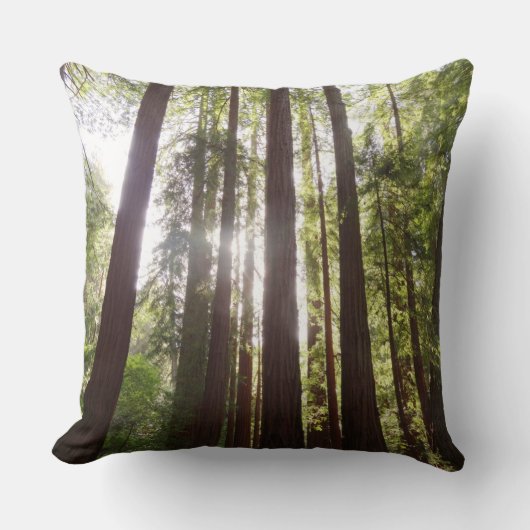 朝のレッドウッズまで クッション (正面)