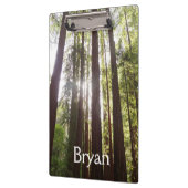 朝のレッドウッズまで クリップボード (左)