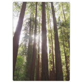 朝のレッドウッズまで クリップボード (裏面)