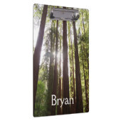 朝のレッドウッズまで クリップボード (右)