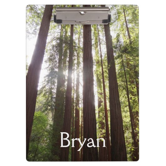 朝のレッドウッズまで クリップボード (正面)