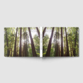 朝のレッドウッズまで ゲストブック (全面)