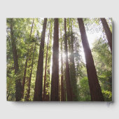 朝のレッドウッズまで ゲストブック (裏面)