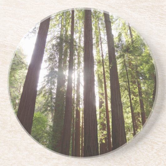 朝のレッドウッズまで コースター (正面)