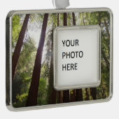 朝のレッドウッズまで シルバープレートフレームオーナメント (右)