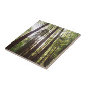 朝のレッドウッズまで タイル (側面)