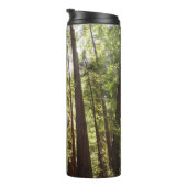 朝のレッドウッズまで タンブラー (回転右)