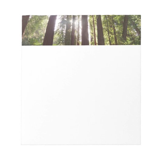 朝のレッドウッズまで ノートパッド (正面)