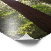 朝のレッドウッズまで フォトプリント            (角)