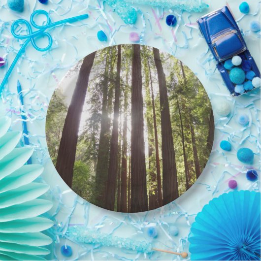 朝のレッドウッズまで ペーパープレート (パーティー)