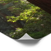 朝のレッドウッズまで ポスター (角)