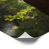 朝のレッドウッズまで ポスター (コーナー)