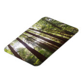 朝のレッドウッズまで マグネット (左側)