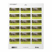 朝のレッドウッズまで ラベル (フルシート)