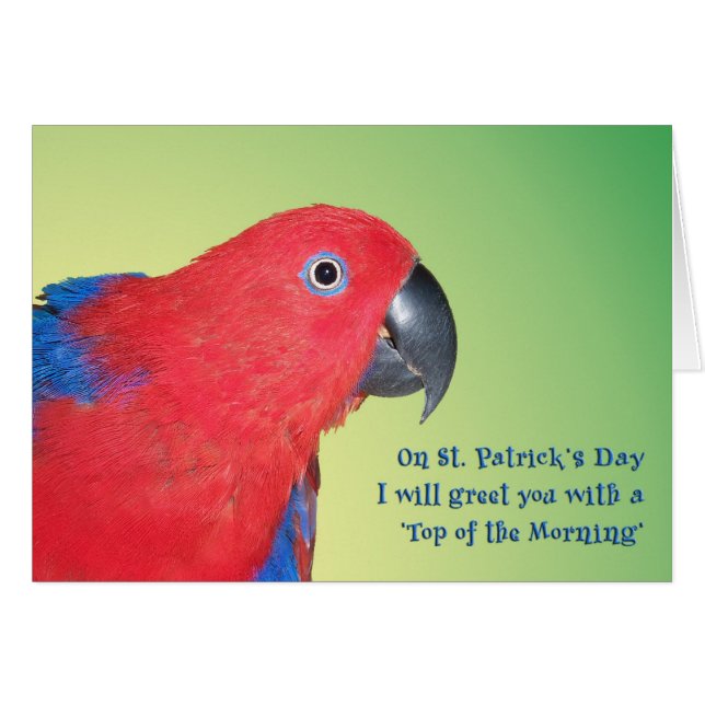 朝の上 (正面横)